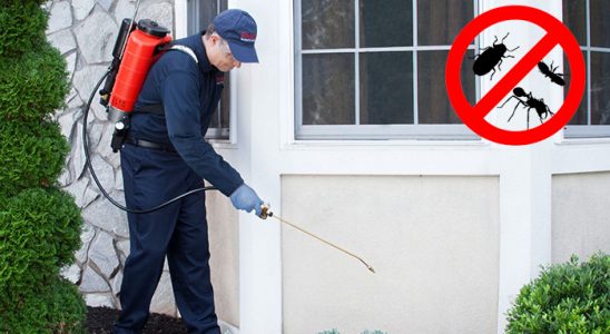 Hemşin Böcek ve Haşere İlaçlama böcek ilaçlama ve haşere kontrolü — ilaclama-tr.com